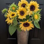 bloomed in tin