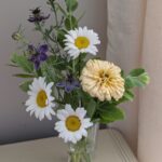 yellow zin and daisies