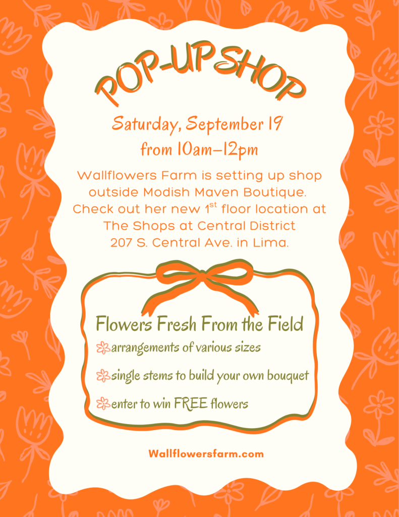 pop up shop flyer 9.19.26 (2)