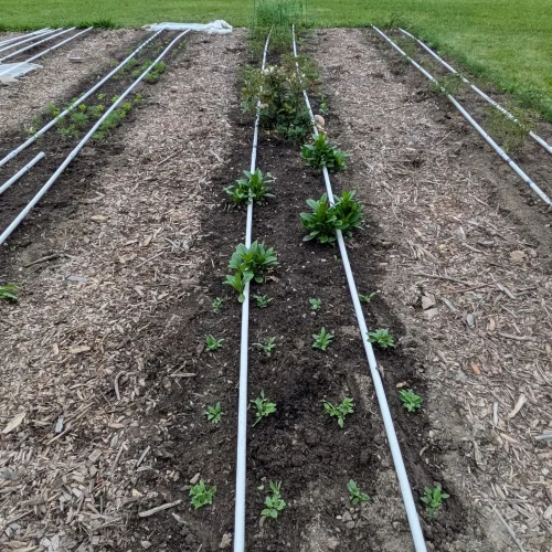About row 4 field