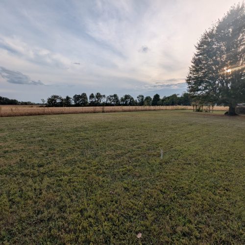 About start of farm 2